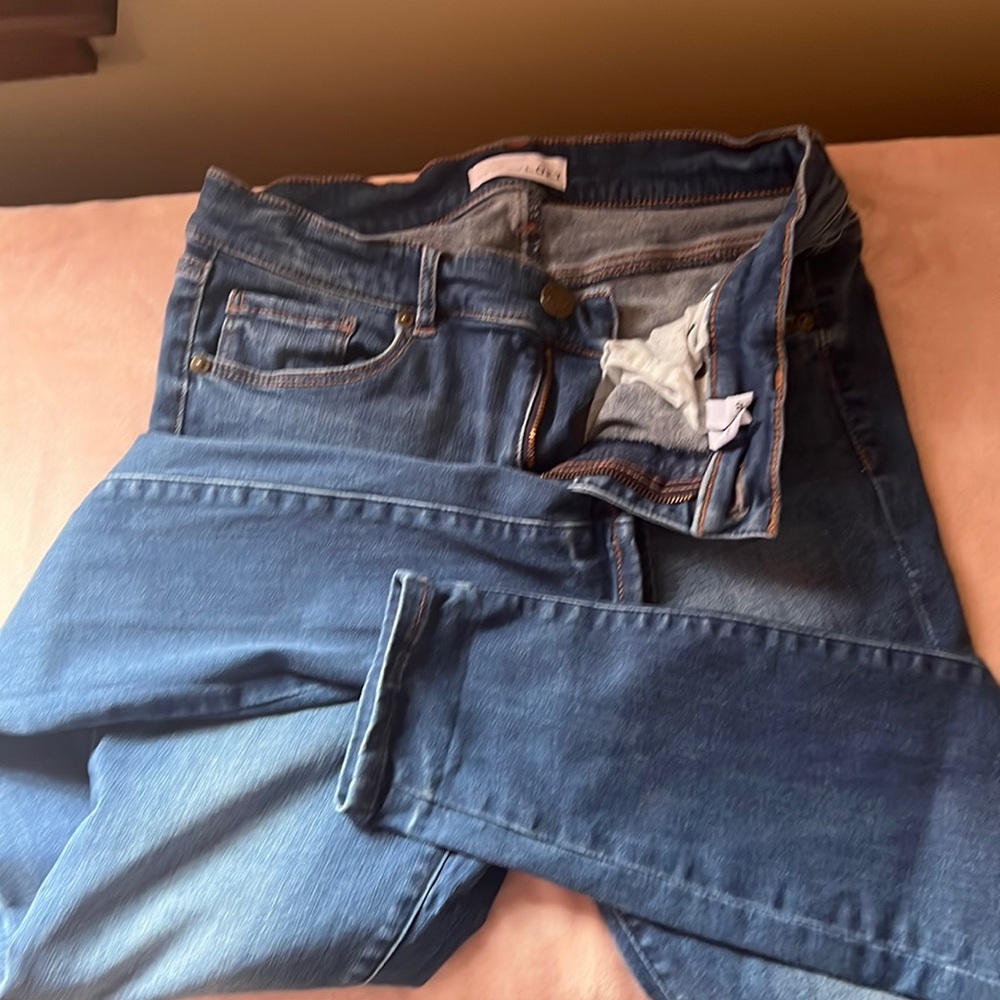 Loft Jean Jeggings
